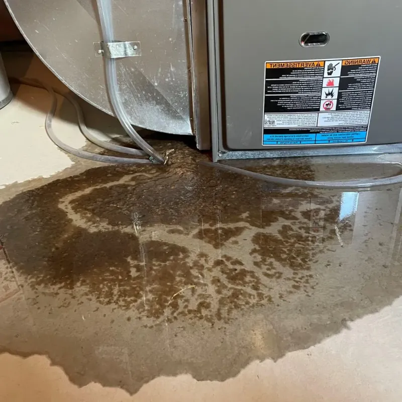 Pipe Burst and Leak Restoration in Peekskill, NY